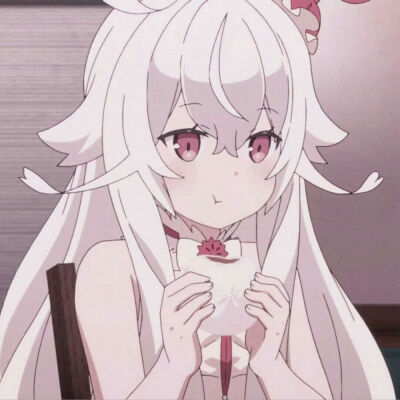 追番小达人